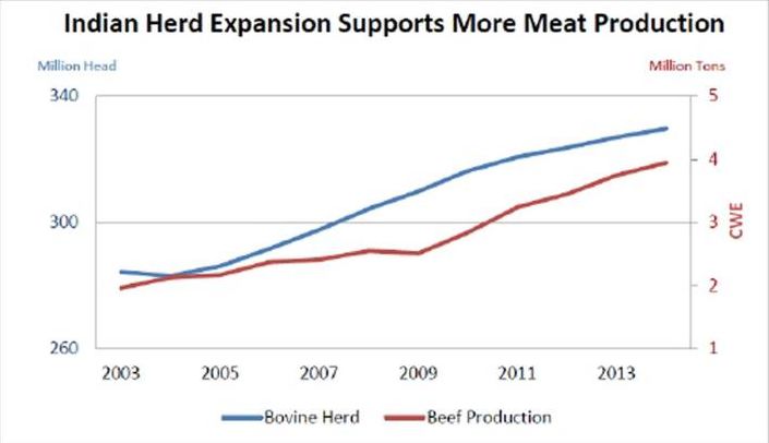 Beef production in India took off after 2009, after moderate growth in the preceding period.