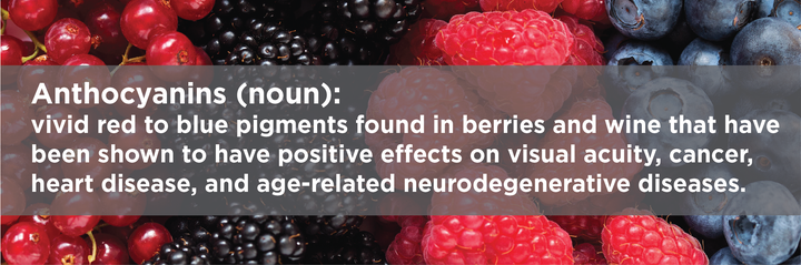 <p><a rel="nofollow" href="http://www.nutritionletter.tufts.edu/glossary/a.html" target="_blank">Anthocyanins</a> are pigments belonging to the flavonoid group of phytochemicals that give blue, purple, and red colors to berries and other fruits, vegetables, and flowers. </p>