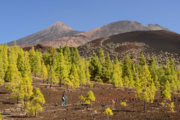 Teide National Park