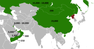 North Korean workers in the Gulf and Asia