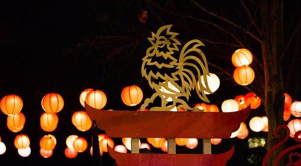 <p>The Year of the Rooster: Something to crow about?</p>