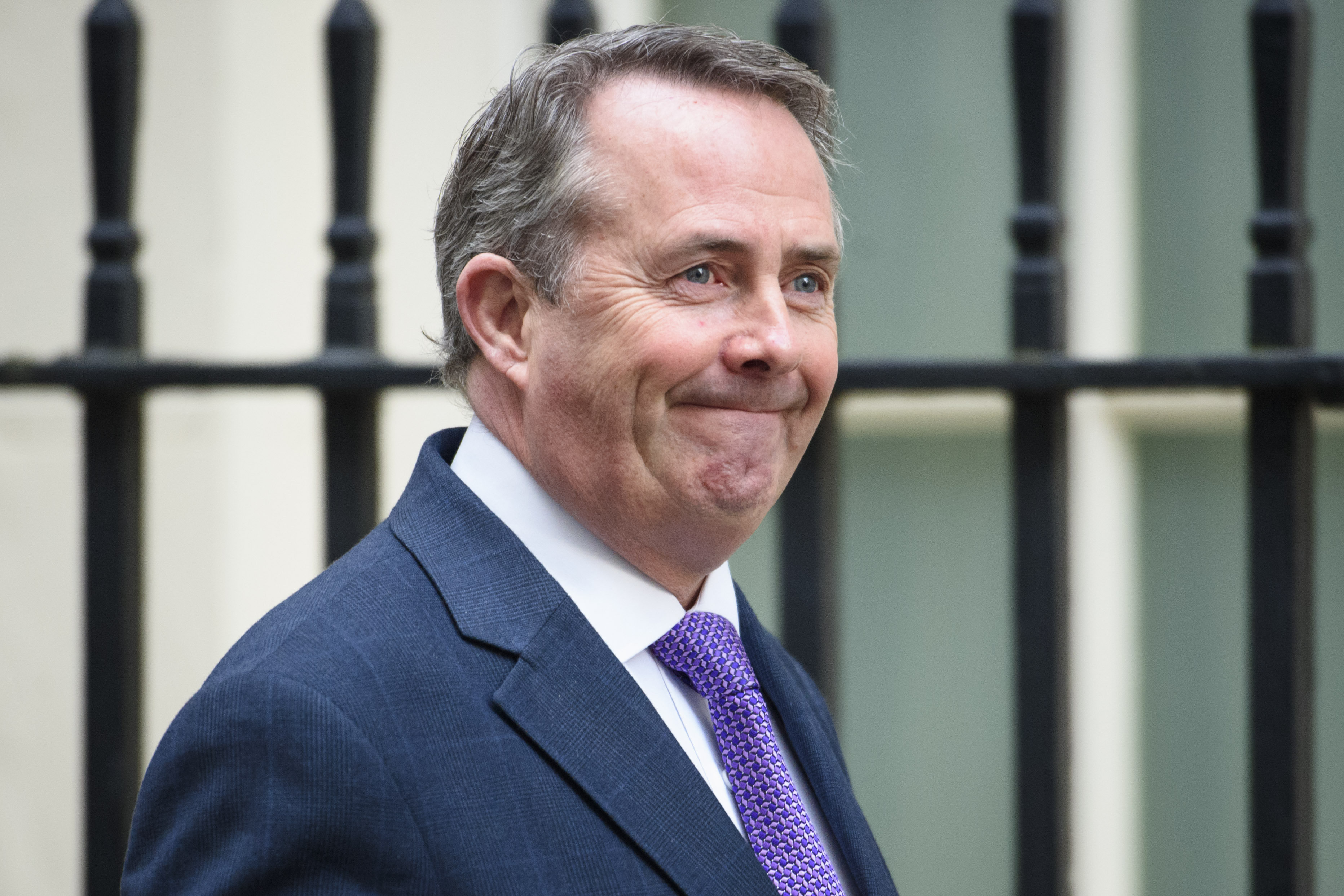 Liam Fox Denies There Has Been A Cabinet Deal On Freedom Of Movement   597d9d091500007d208b4310 