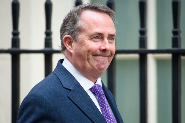 Liam Fox insists there is no three year cabinet deal on free movement