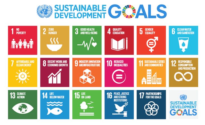 Why should you care about the sustainable development goals