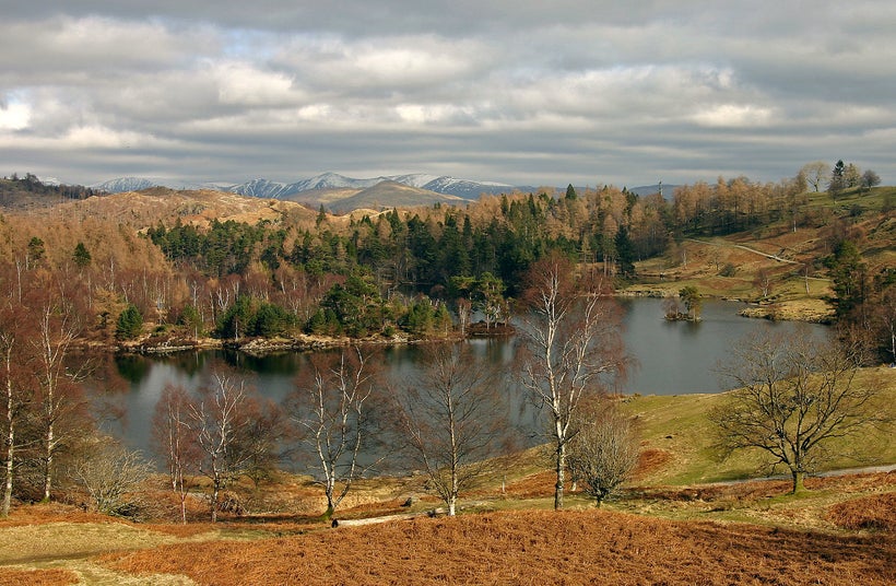Tarn Hows in the Lake District