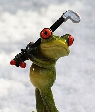  I’m not paying for a Trump photo so here’s a golfing frog.