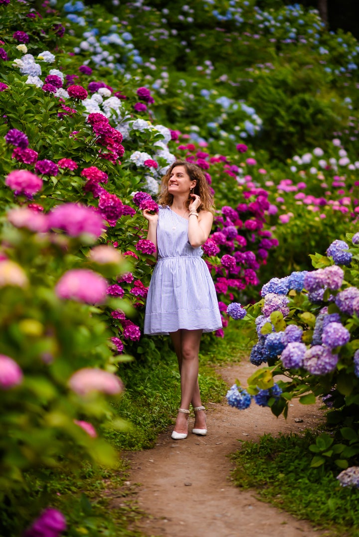 Hydrangea garden in Chiba, Japan