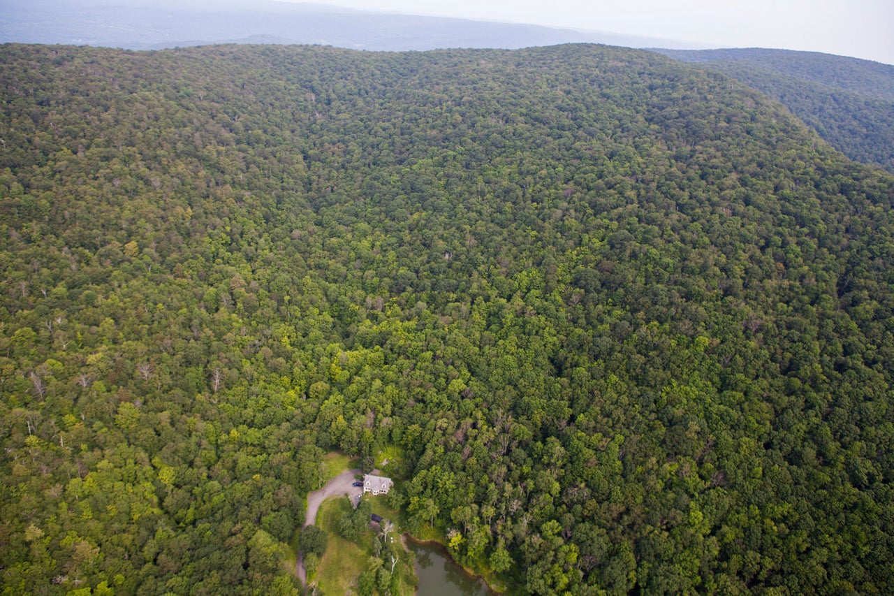 A new home appears in a clearing near beside a small pond.