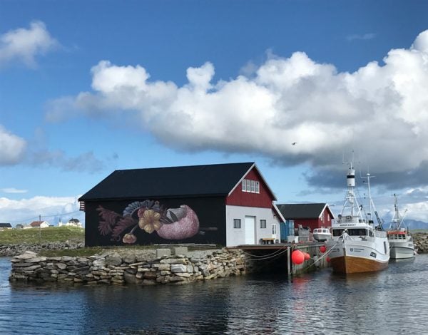 Pastel. Up North Fest 2017. Røst, Norway. (photo © Tor Ståle Moen)