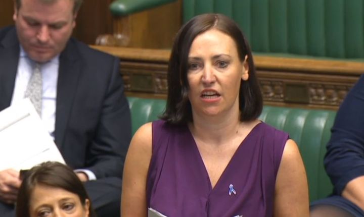 Labour MP Vicky Foxcroft said she had reported the 24-year-old to police 