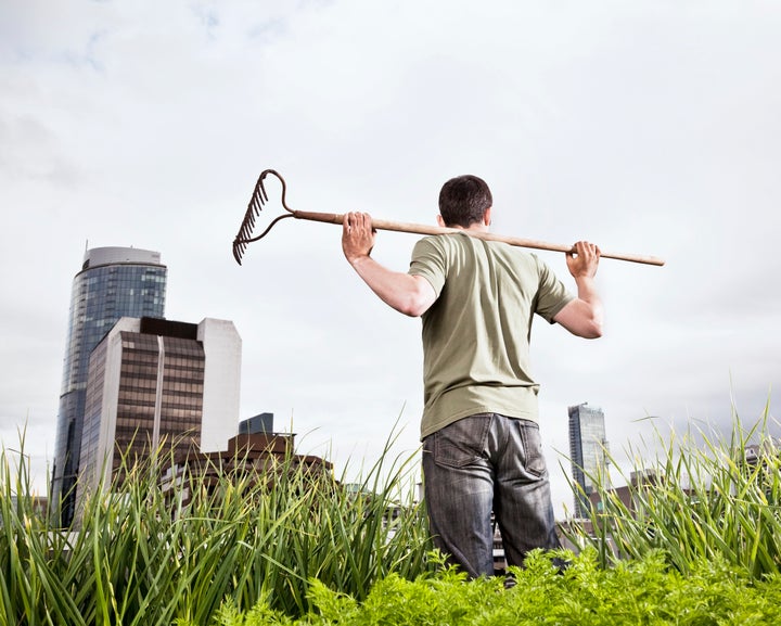 There are ways to connect with the harvest time even from the city, says Selena Fox.