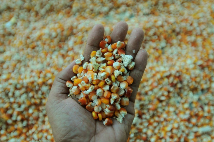 The percentage of the world's labor force that works in agriculture has plummeted in recent years, <a href="http://data.worldbank.org/indicator/SL.AGR.EMPL.ZS" target="_blank" role="link" class=" js-entry-link cet-external-link" data-vars-item-name="according to the World Bank" data-vars-item-type="text" data-vars-unit-name="59823e54e4b06d4888741c72" data-vars-unit-type="buzz_body" data-vars-target-content-id="http://data.worldbank.org/indicator/SL.AGR.EMPL.ZS" data-vars-target-content-type="url" data-vars-type="web_external_link" data-vars-subunit-name="article_body" data-vars-subunit-type="component" data-vars-position-in-subunit="4">according to the World Bank</a>.