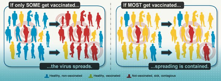 The more people who are vaccinated, the fewer opportunities a disease has to spread. 