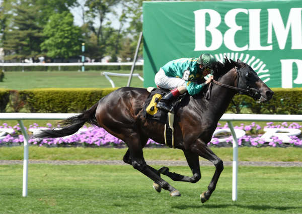 Gold Shield winning an allowance optional claiming at Belmont, 5/12/2016