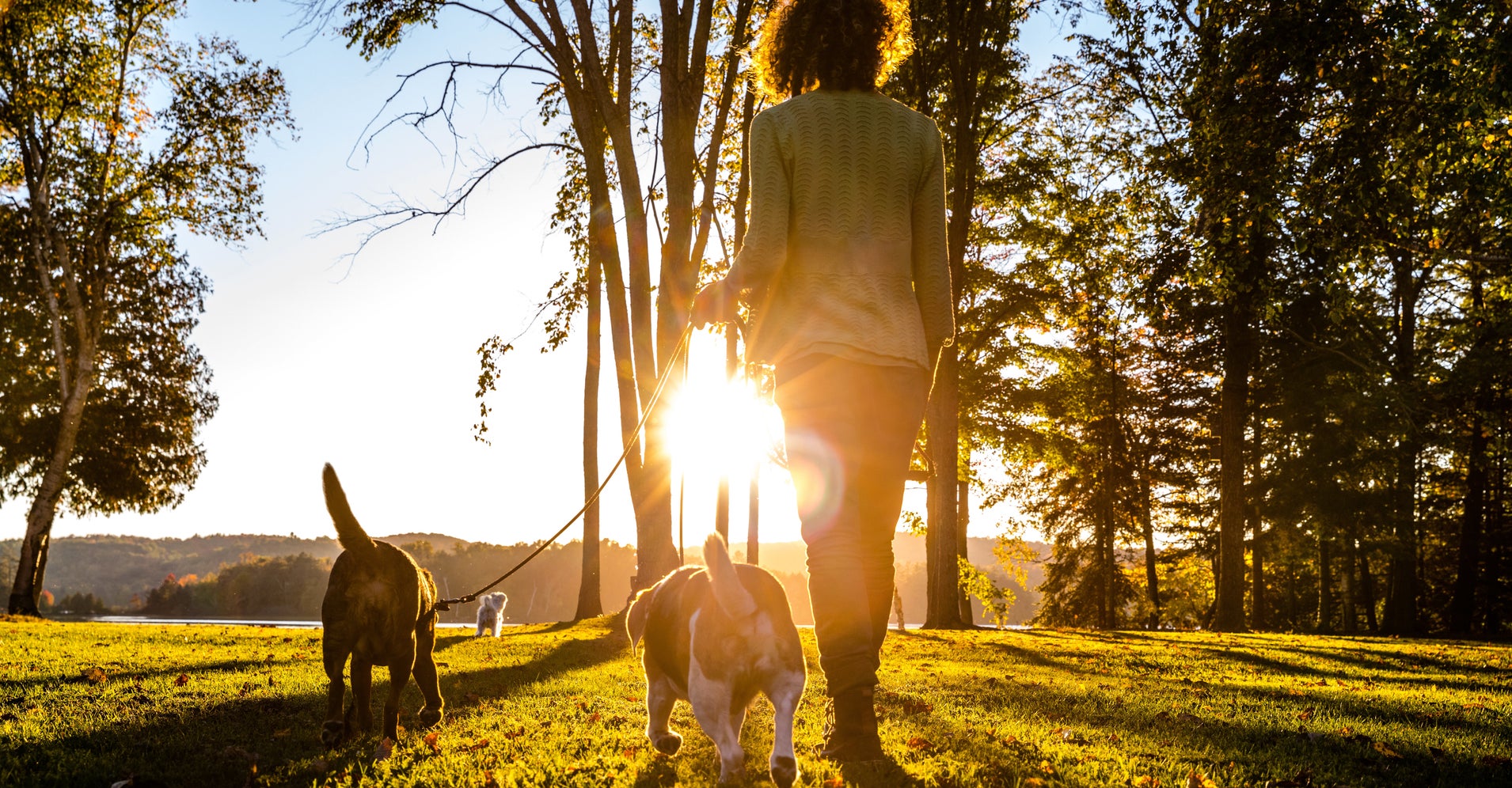 Dog Owners More Likely To Exercise Regularly HuffPost Life