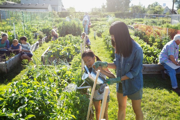 7 Reasons Why Your Kids Will Love Visiting A City Farm | HuffPost UK