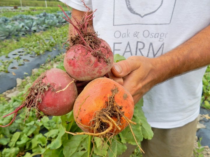 <p>Beets from the ground, Oak & Osage Farm, Keuka Lake, NY</p>