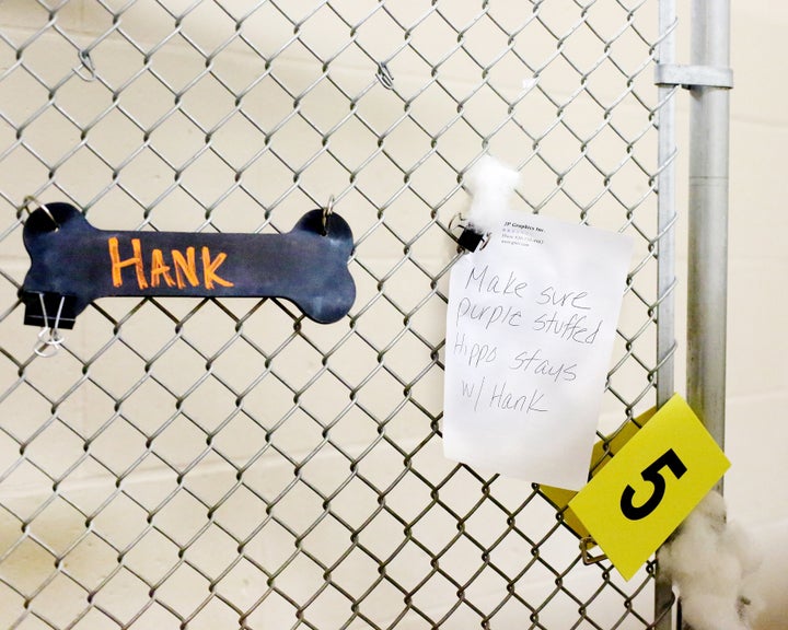 “Make sure purple stuffed hippo stays w/ Hank” a sign on the couple’s enclosure read.