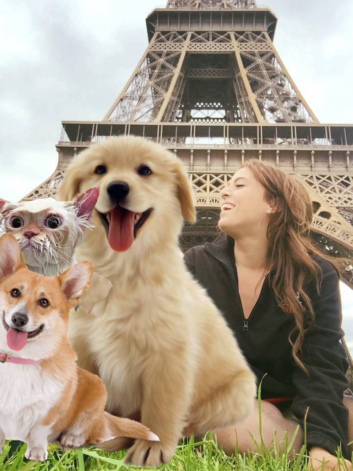 <strong>Now that’s how to travel in a pack! #squadgoals</strong>