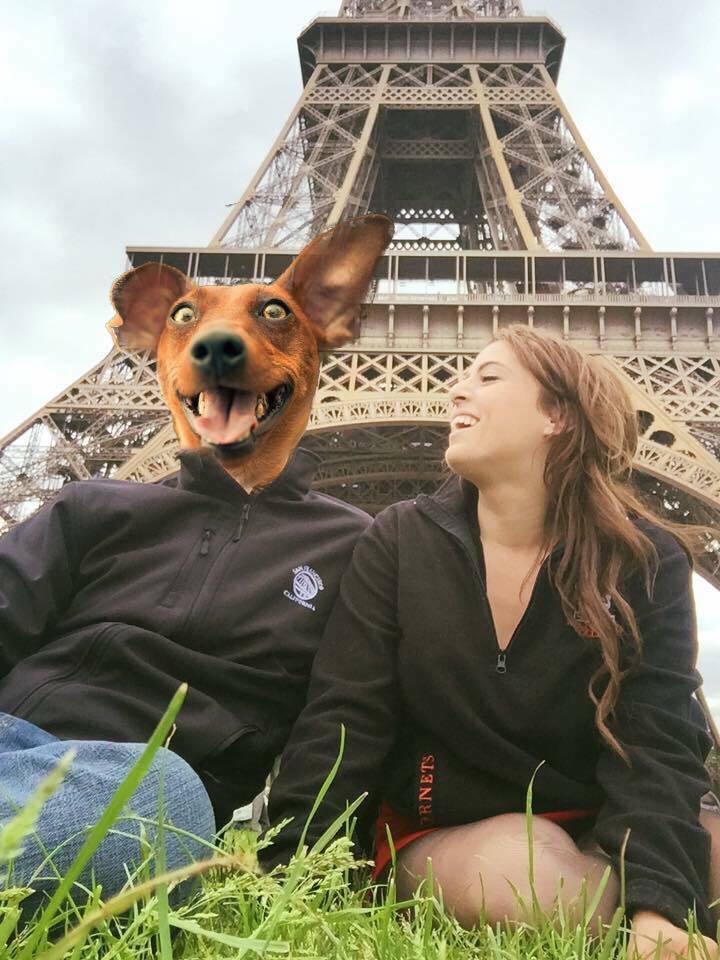<strong>Get you someone who’s as excited to be with you as this dog is for life.</strong>