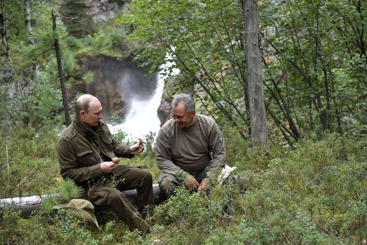 Putin shows mushrooms to Shoigu 