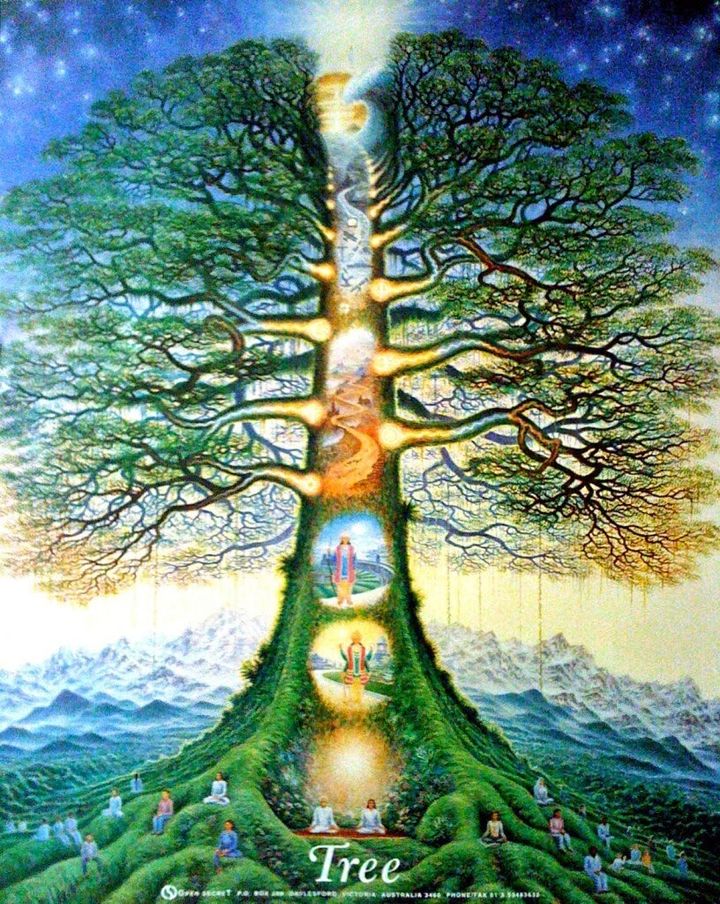 The tree of life with fruit and leaves for healing from Revelation 22. 