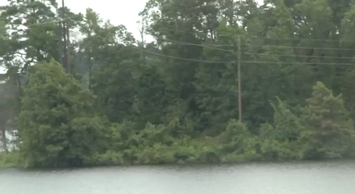 Power lines stretch across an East Texas lake where the three Boy Scouts were sailing.