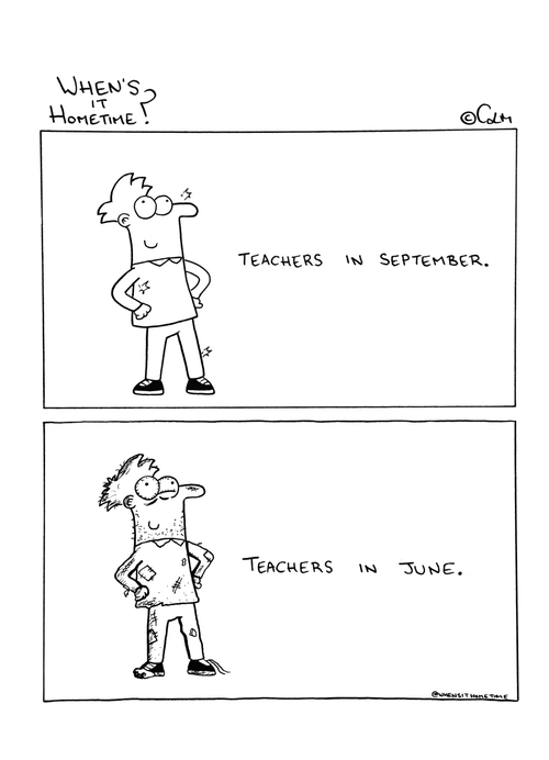 Teachers