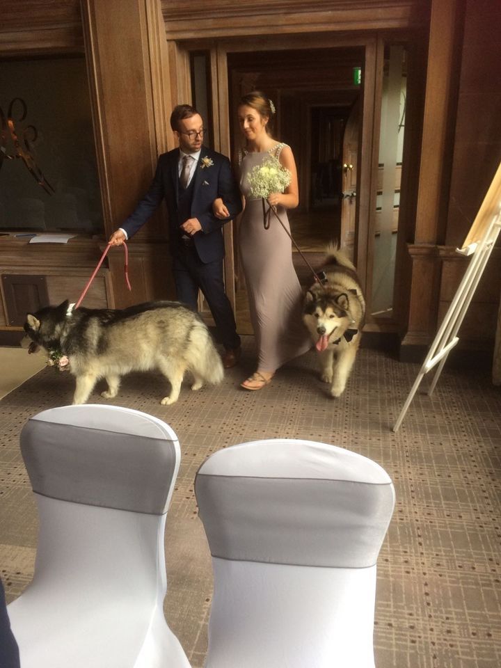 A bridesmaid and groomsman walked the dogs into the ceremony.