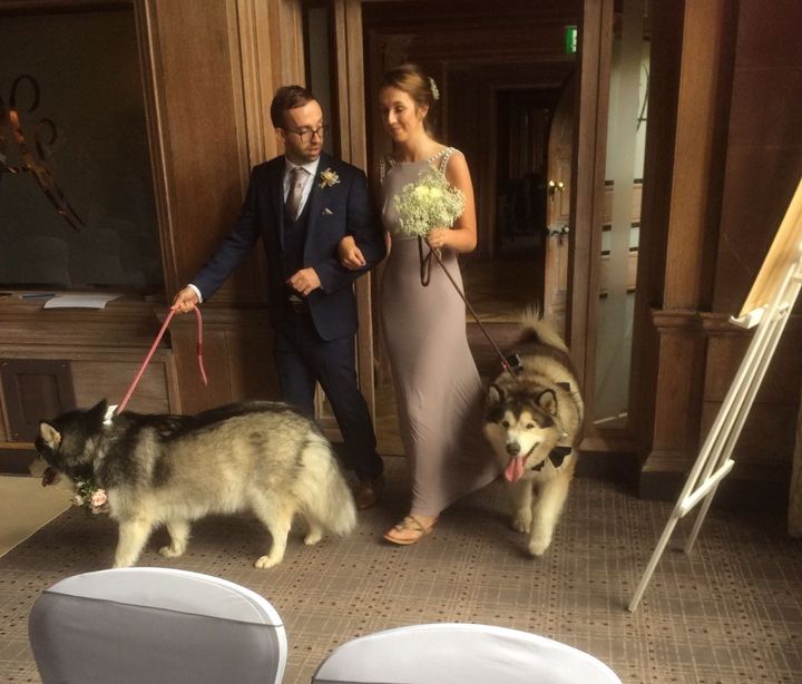 A bridesmaid and groomsman walked the dogs into the ceremony.