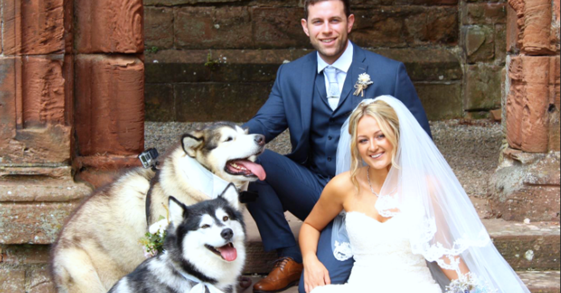 This Couple Chose Their Dogs As Maid Of Honor And Best Man HuffPost