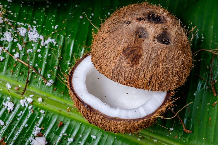 A perfect coconut for our traditional “umu” feast (umu means “Earth oven.)