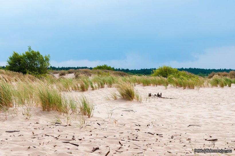 Sobieszewo Island
