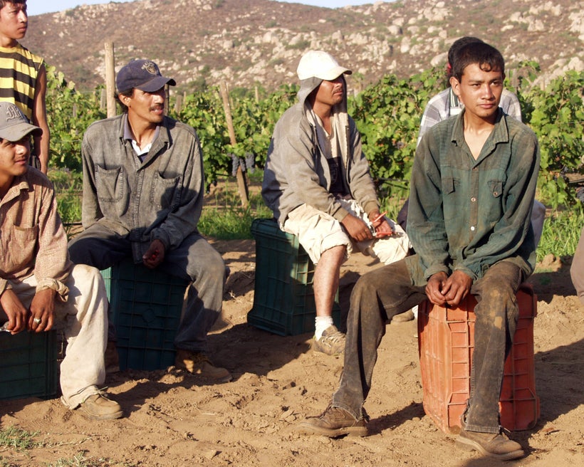 NAFTA has forced small-scale farmers to leave their land and become migrant workers struggling to make a livelihood. These gr