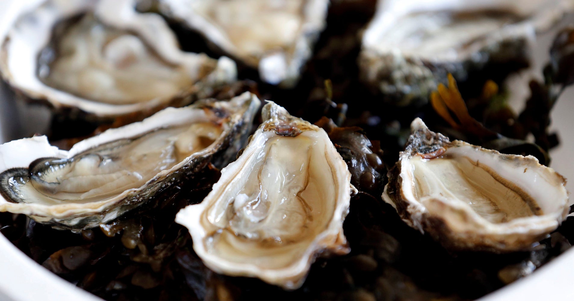 France Has Oyster Vending Machines, But Is That REALLY A Good Idea