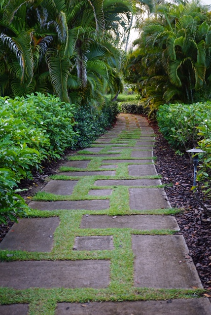 Four Seasons Resort Nevis