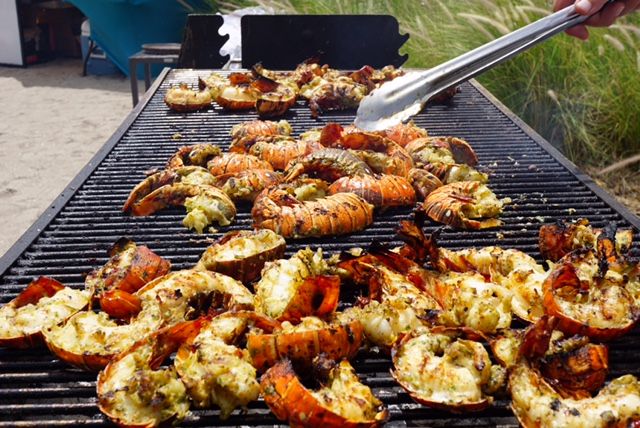 Lobster grill