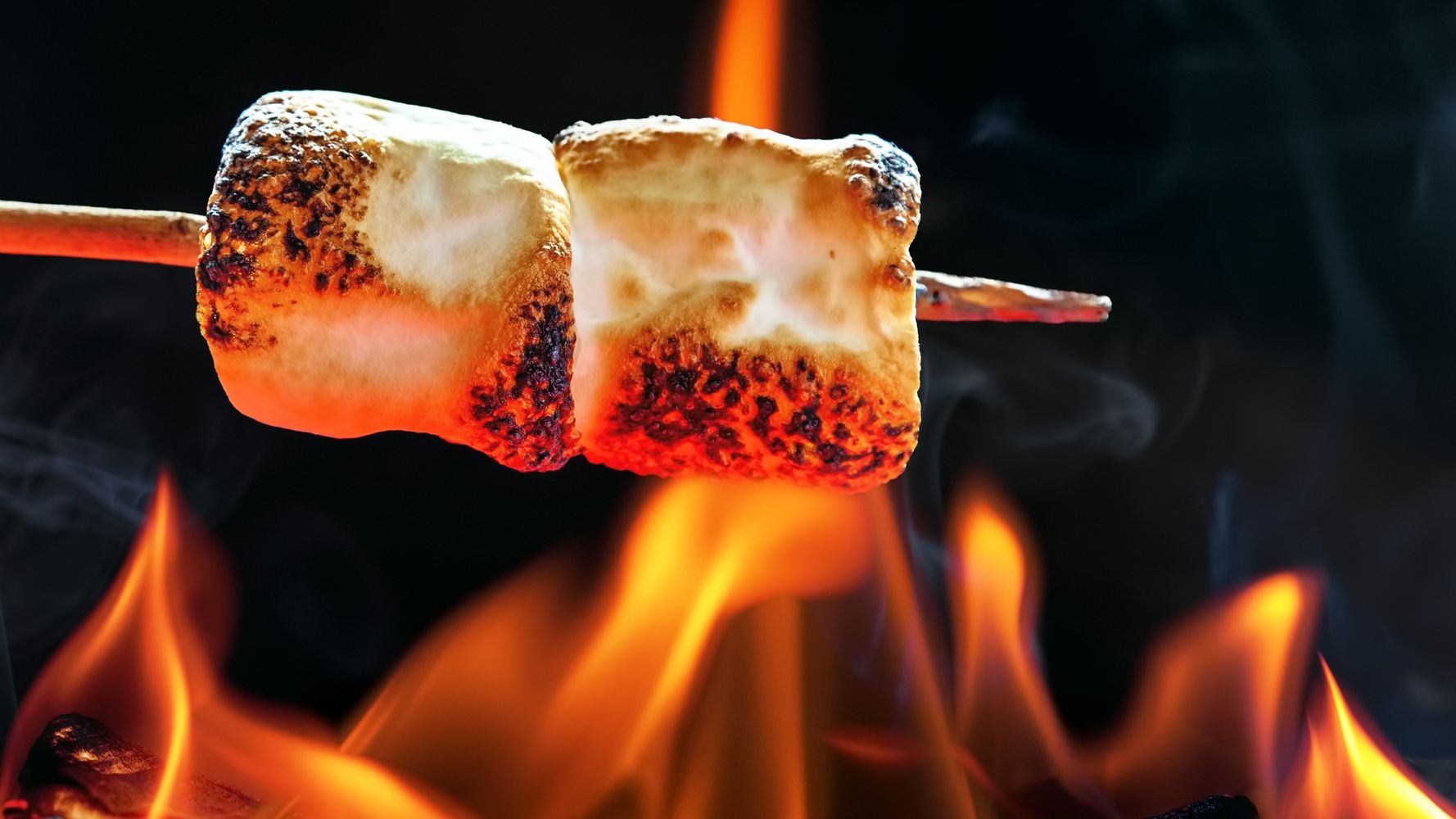 Prepare For Your Mind To Be Blown, Because Marshmallows Are Actually Plants...