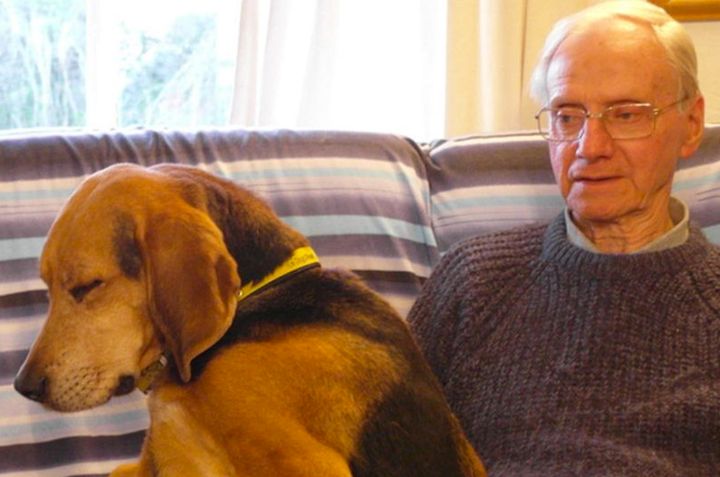 <strong>The family of Peter Wrighton, the 83-year-old murdered while out walking his dogs in Norfolk, have remembered him as a 'lovely, gentle husband, dad and grandfather'</strong>