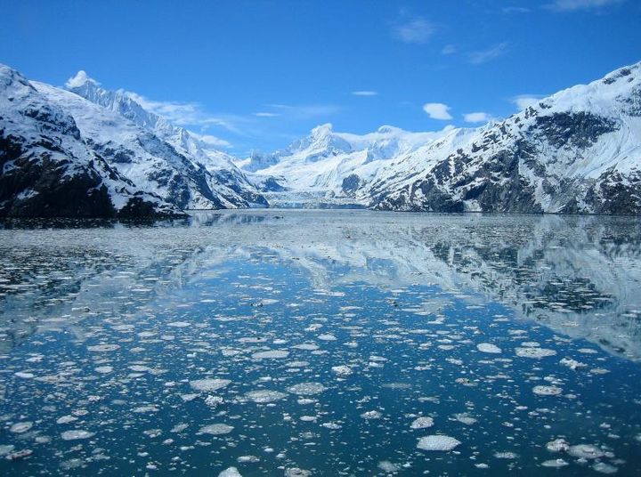 The glaciers in Glacier Bay National Park are moving faster than Congress and the White House in reacting to global climate change.
