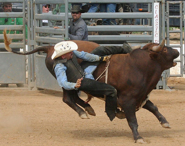 Riding the Bull