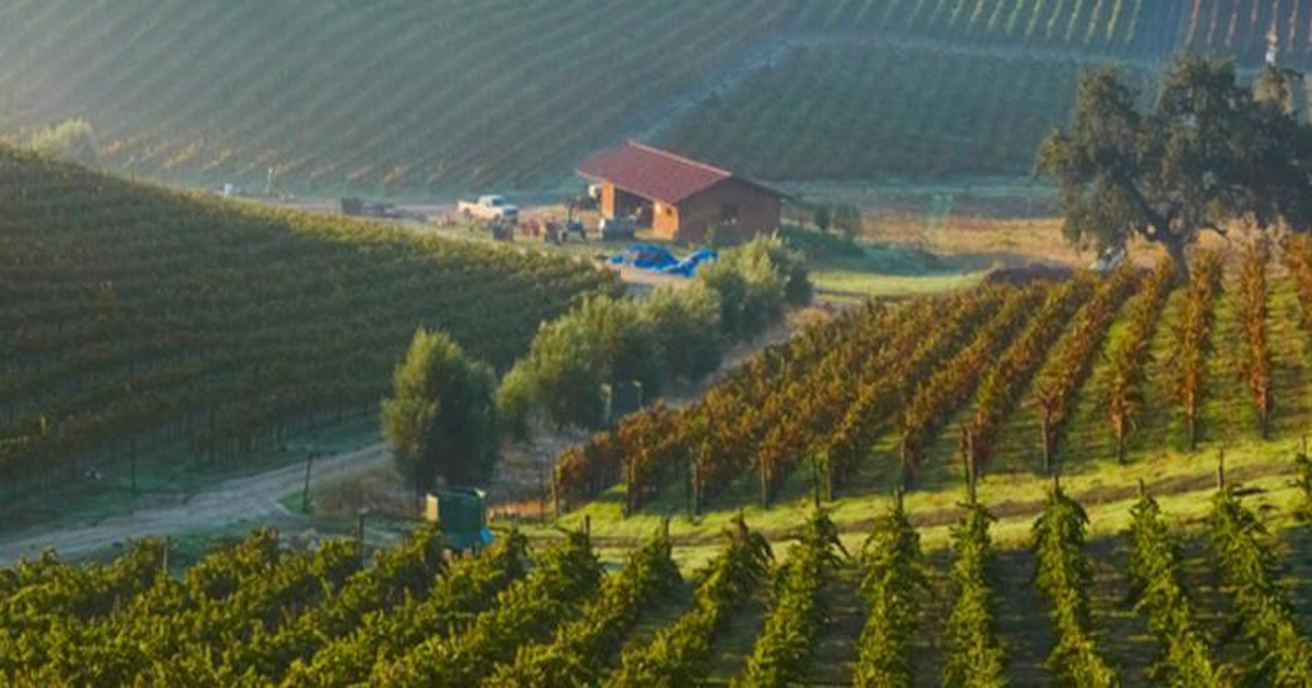 101 Best Wineries in America 2017 HuffPost