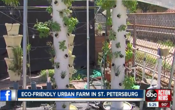  An early version of Solidary’s CropTowers(TM) as featured on WFTS, Tampa