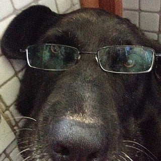<p> Smarter than Clem</p>