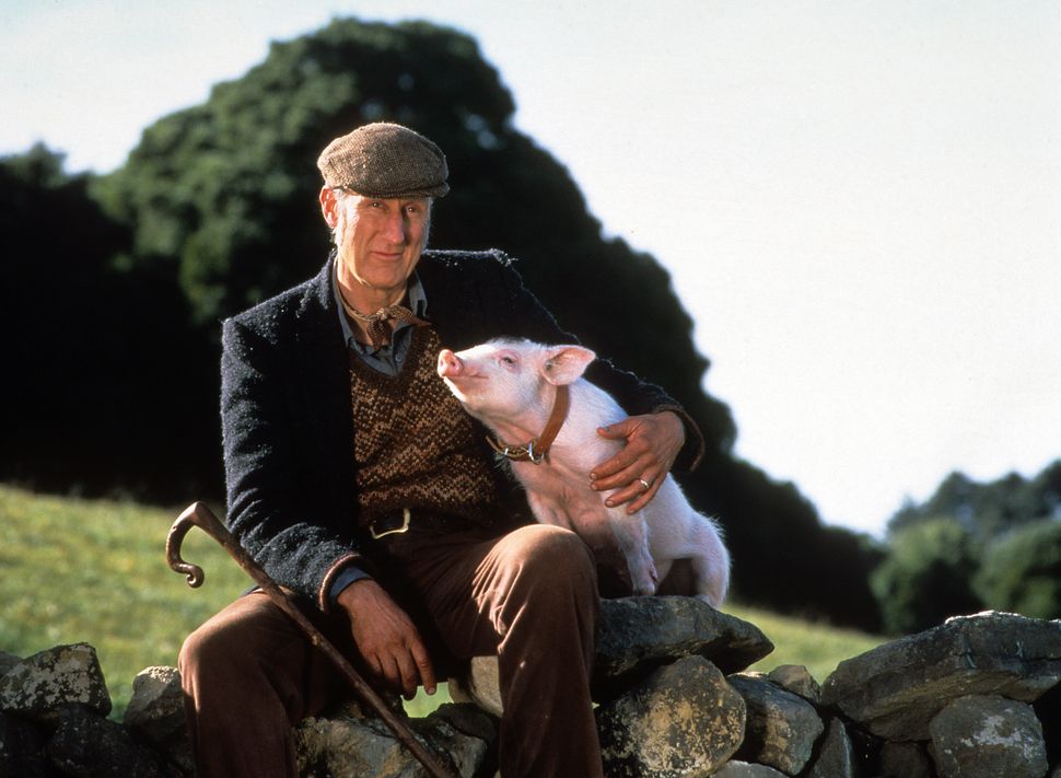 James Cromwell's role as farmer Arthur H. Hoggett in