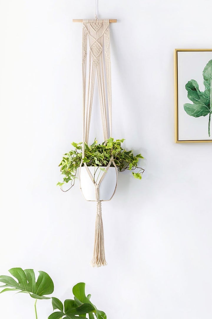 Macrame hanging planter -- <a href="https://www.amazon.com/Mkono-Macrame-Hanger-Hanging-Planter/dp/B06XKBVG42/ref=sr_1_5?s=lawn-garden&ie=UTF8&qid=1502381570&sr=1-5&keywords=macrame+plant+hangers" target="_blank">$13 on Amazon</a>. 