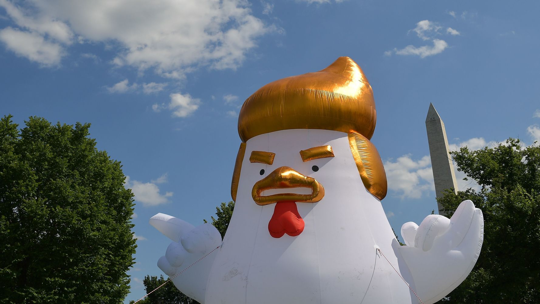 inflatable bin chicken