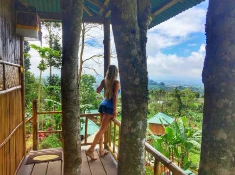 <p>Just a treehouse AirBnB in the middle of the Bali jungle...nbd.</p>