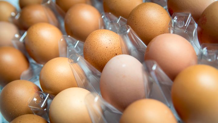 The ‘toxic’ egg scandal engulfing European poultry farms has grown