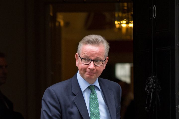 Environment Secretary Michael Gove said the plans will reinforce Britain's 'status as a global leader' in animal welfare standards